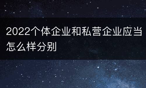 2022个体企业和私营企业应当怎么样分别