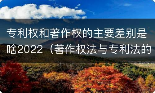 专利权和著作权的主要差别是啥2022（著作权法与专利法的区别）