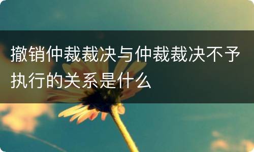 撤销仲裁裁决与仲裁裁决不予执行的关系是什么
