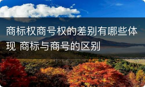 商标权商号权的差别有哪些体现 商标与商号的区别