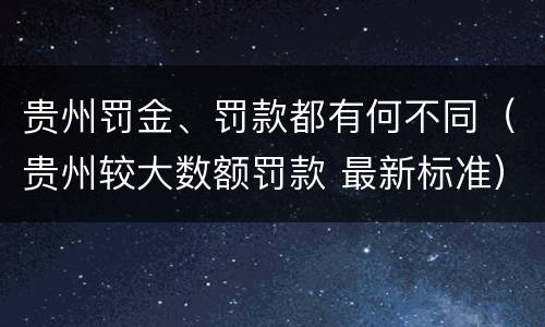 贵州罚金、罚款都有何不同（贵州较大数额罚款 最新标准）