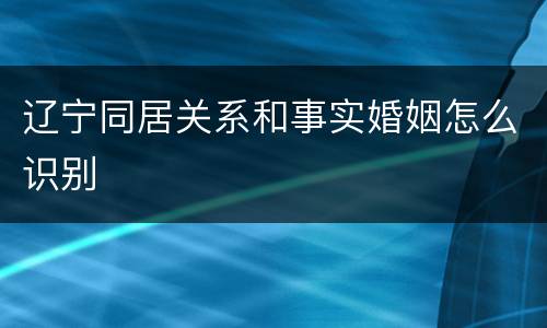 辽宁同居关系和事实婚姻怎么识别