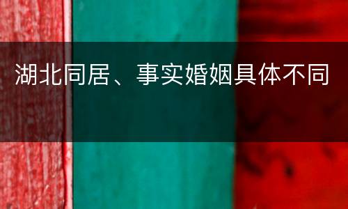 湖北同居、事实婚姻具体不同