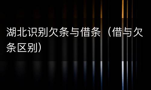 湖北识别欠条与借条（借与欠条区别）