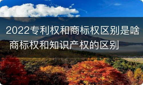 2022专利权和商标权区别是啥 商标权和知识产权的区别