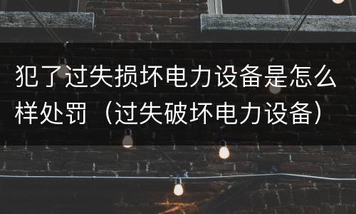 犯了过失损坏电力设备是怎么样处罚（过失破坏电力设备）
