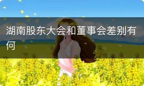 湖南股东大会和董事会差别有何
