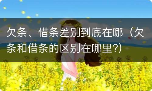 欠条、借条差别到底在哪（欠条和借条的区别在哪里?）