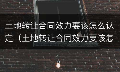 土地转让合同效力要该怎么认定（土地转让合同效力要该怎么认定呢）