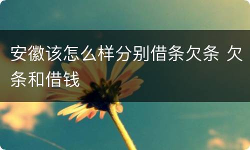 安徽该怎么样分别借条欠条 欠条和借钱