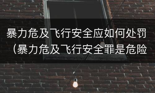 暴力危及飞行安全应如何处罚（暴力危及飞行安全罪是危险犯吗）