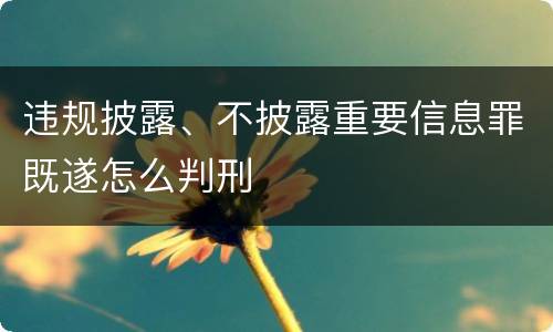 违规披露、不披露重要信息罪既遂怎么判刑