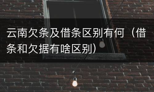 云南欠条及借条区别有何（借条和欠据有啥区别）