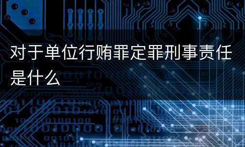 对于单位行贿罪定罪刑事责任是什么