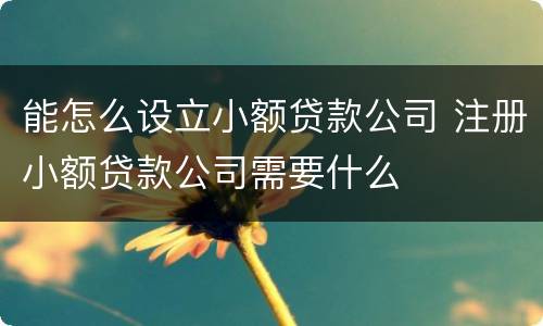 能怎么设立小额贷款公司 注册小额贷款公司需要什么