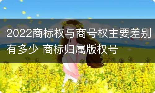 2022商标权与商号权主要差别有多少 商标归属版权号
