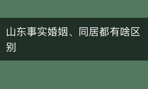 山东事实婚姻、同居都有啥区别