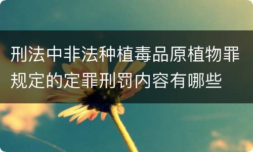 刑法中非法种植毒品原植物罪规定的定罪刑罚内容有哪些