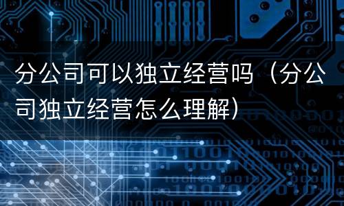 分公司可以独立经营吗（分公司独立经营怎么理解）