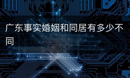 广东事实婚姻和同居有多少不同