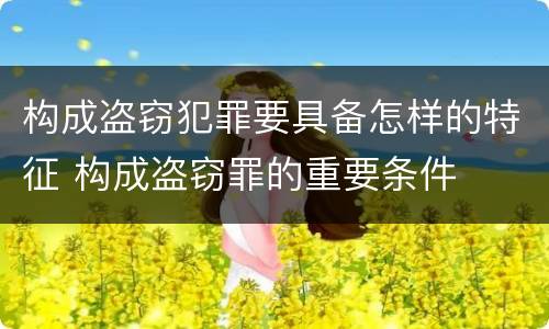 构成盗窃犯罪要具备怎样的特征 构成盗窃罪的重要条件