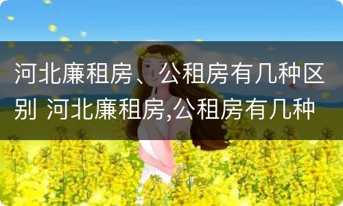 河北廉租房、公租房有几种区别 河北廉租房,公租房有几种区别在哪