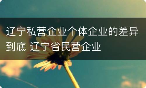 辽宁私营企业个体企业的差异到底 辽宁省民营企业