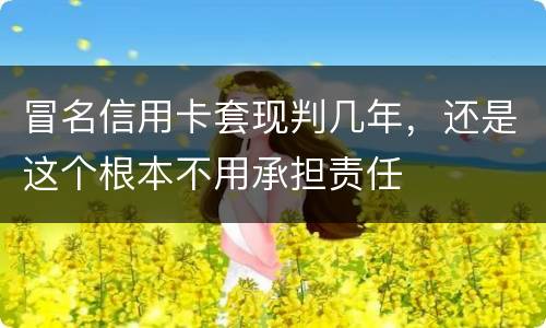 冒名信用卡套现判几年，还是这个根本不用承担责任