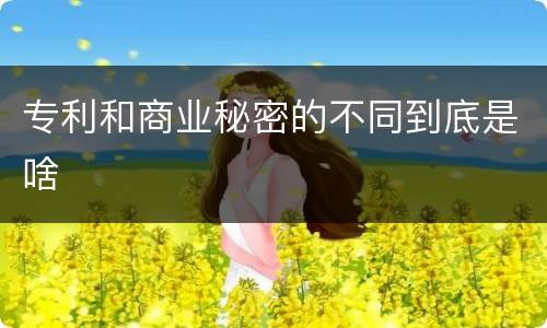 专利和商业秘密的不同到底是啥