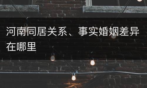 河南同居关系、事实婚姻差异在哪里
