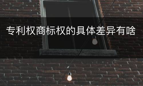 专利权商标权的具体差异有啥