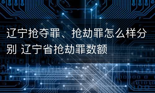 辽宁抢夺罪、抢劫罪怎么样分别 辽宁省抢劫罪数额