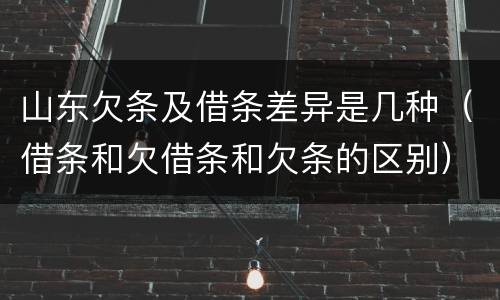 山东欠条及借条差异是几种（借条和欠借条和欠条的区别）