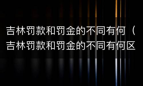 吉林罚款和罚金的不同有何（吉林罚款和罚金的不同有何区别）