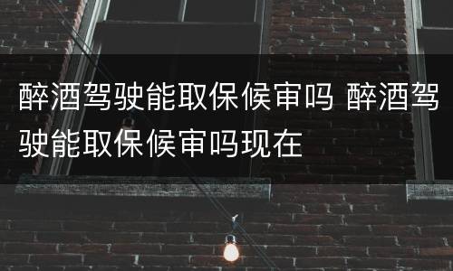醉酒驾驶能取保候审吗 醉酒驾驶能取保候审吗现在