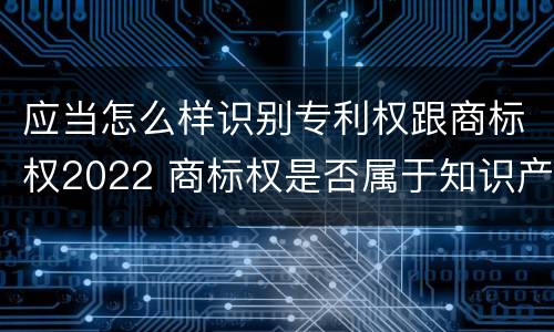 应当怎么样识别专利权跟商标权2022 商标权是否属于知识产权