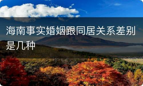 海南事实婚姻跟同居关系差别是几种