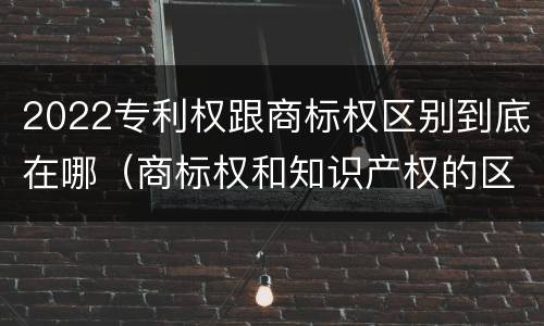 2022专利权跟商标权区别到底在哪（商标权和知识产权的区别）