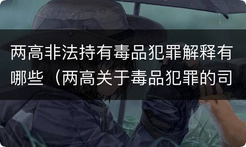 两高非法持有毒品犯罪解释有哪些（两高关于毒品犯罪的司法解释）