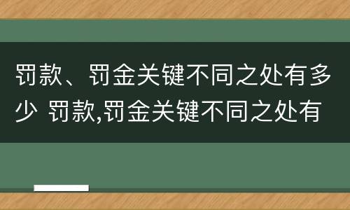 罚款、罚金关键不同之处有多少 罚款,罚金关键不同之处有多少