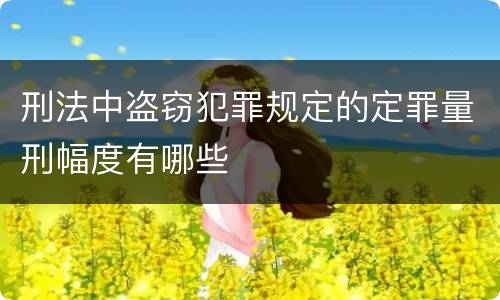 刑法中盗窃犯罪规定的定罪量刑幅度有哪些