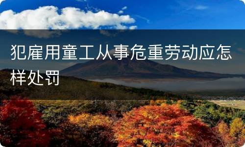 犯雇用童工从事危重劳动应怎样处罚