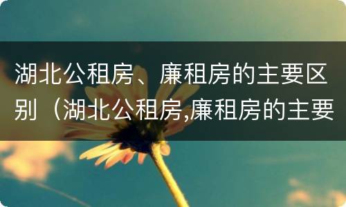 湖北公租房、廉租房的主要区别（湖北公租房,廉租房的主要区别是）