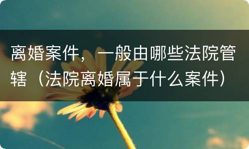 离婚案件，一般由哪些法院管辖（法院离婚属于什么案件）
