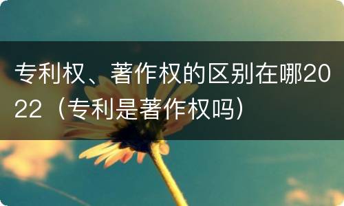 专利权、著作权的区别在哪2022（专利是著作权吗）