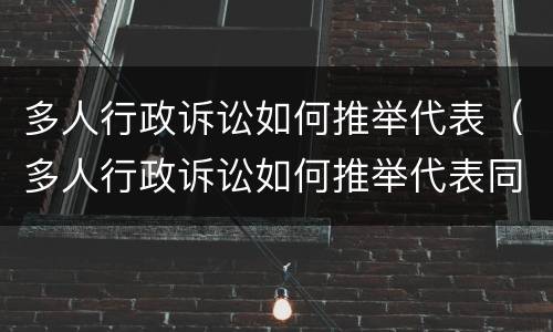 多人行政诉讼如何推举代表（多人行政诉讼如何推举代表同意）