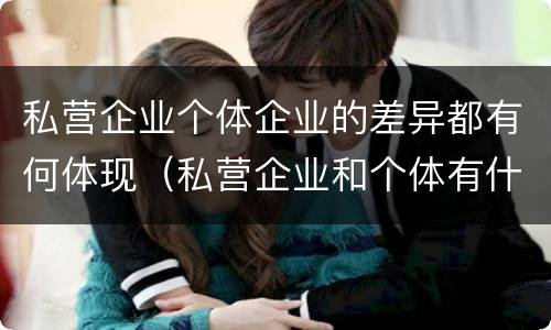 私营企业个体企业的差异都有何体现（私营企业和个体有什么区别）