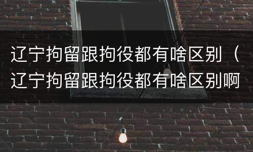 辽宁拘留跟拘役都有啥区别（辽宁拘留跟拘役都有啥区别啊）