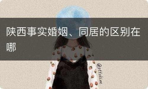陕西事实婚姻、同居的区别在哪