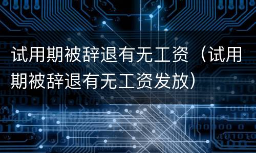 试用期被辞退有无工资（试用期被辞退有无工资发放）